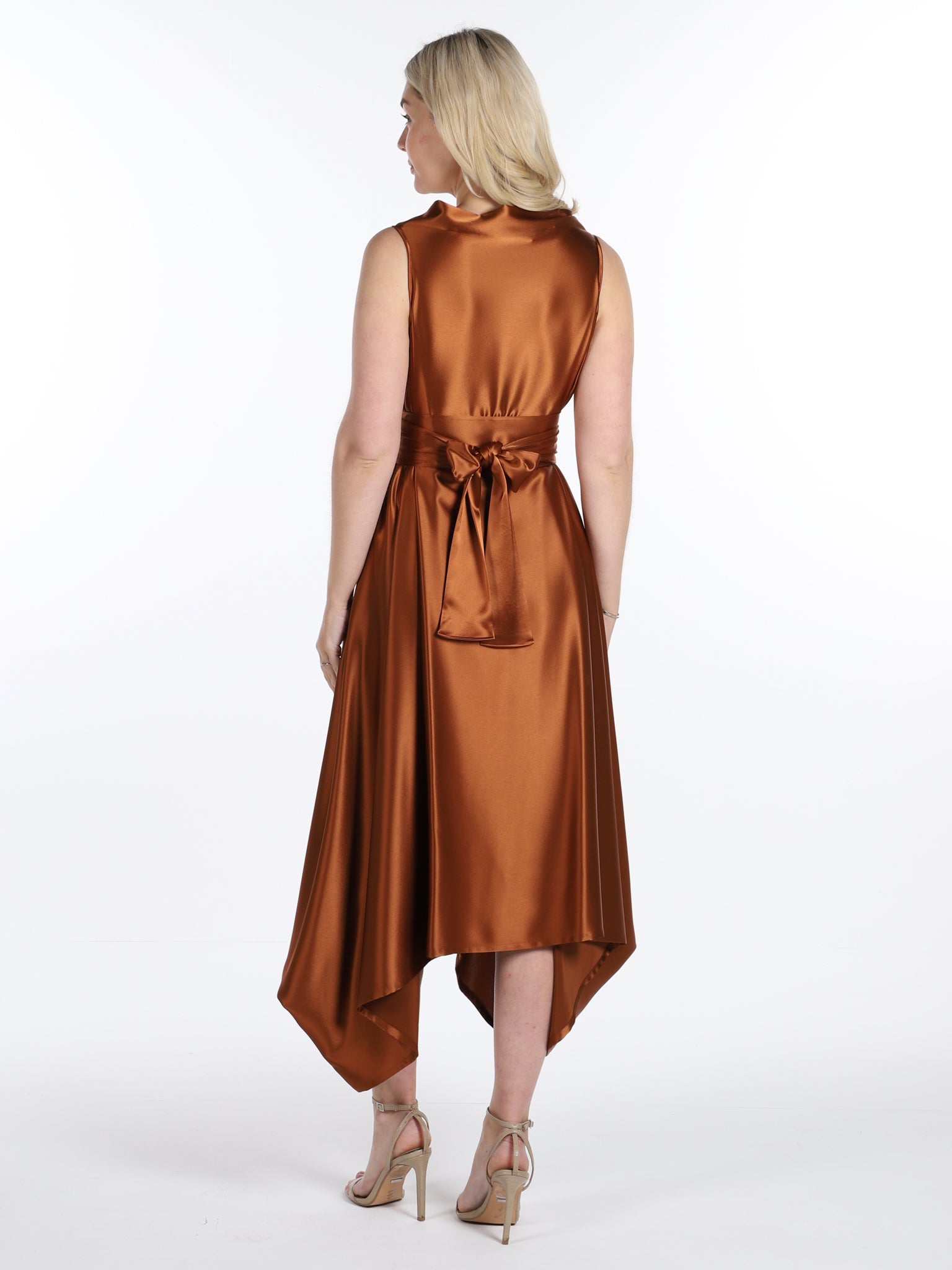 Rust Satin Darcy Dress