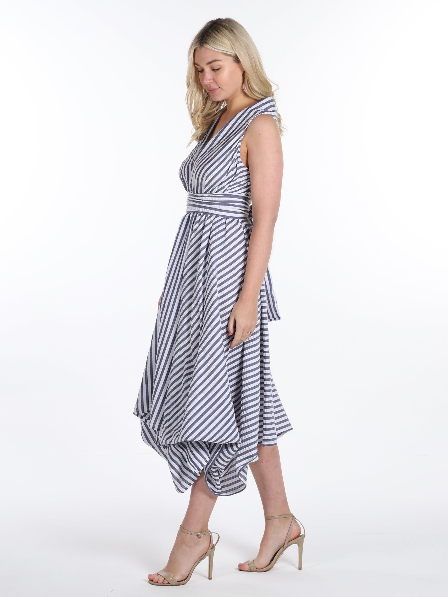 Blue Stripe Darcy Dress