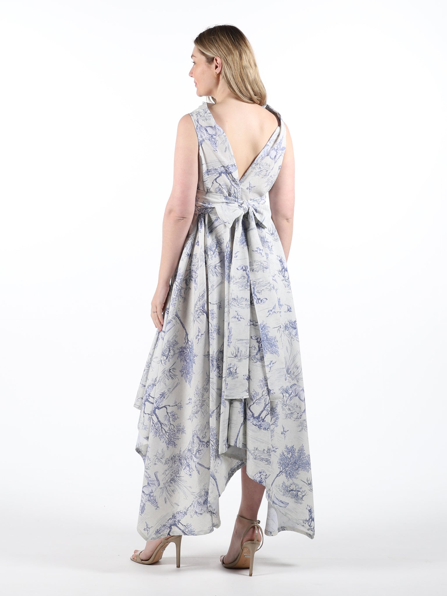 Blue Toile Print Darcy Dress (worn back to front)