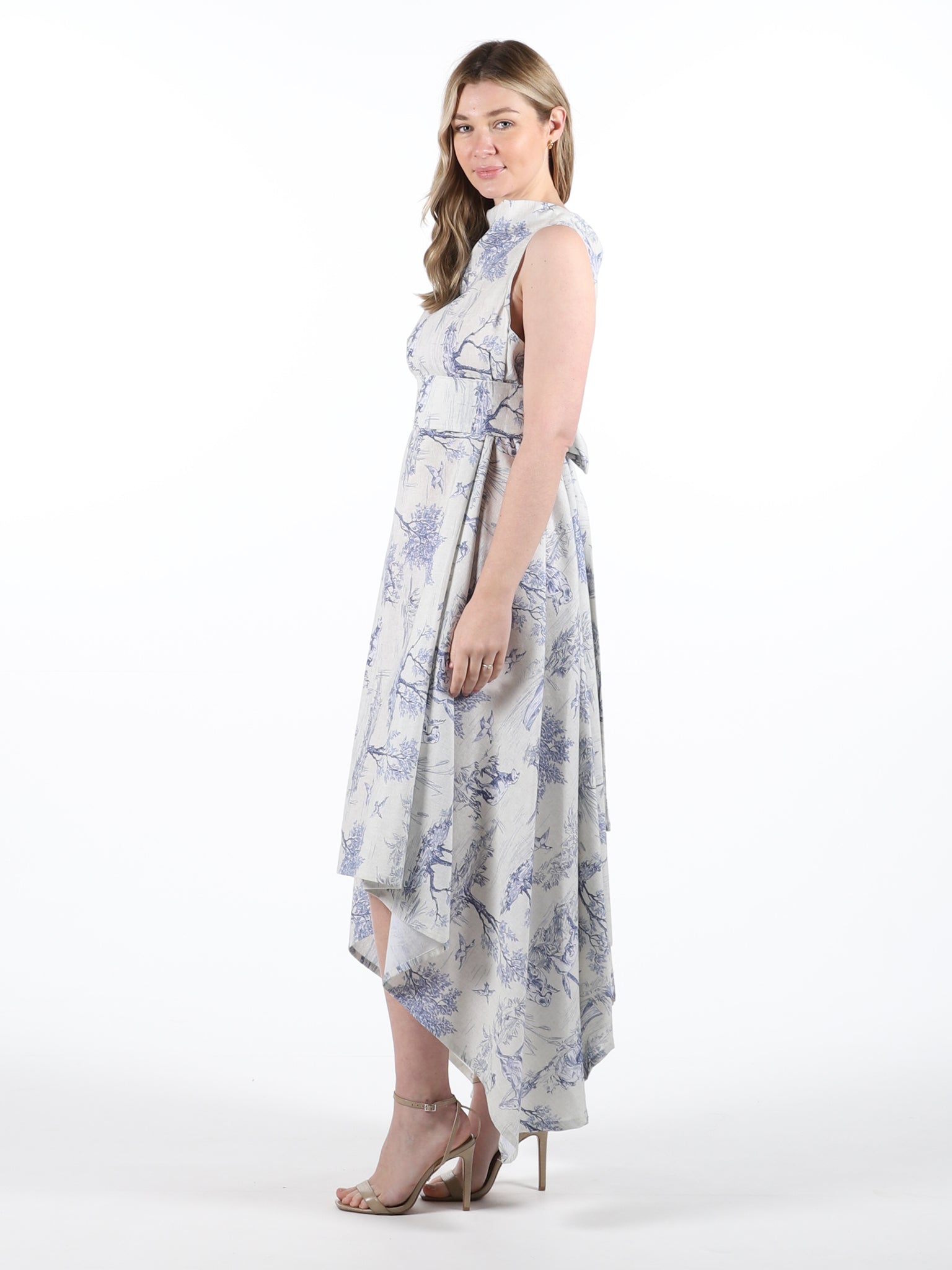 Blue Toile Print Darcy Dress (worn back to front)