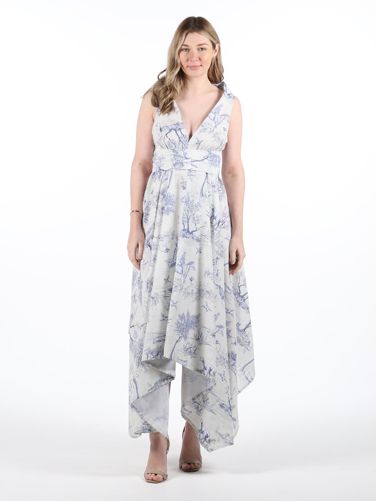 Blue Toile Print Darcy Midi Dress