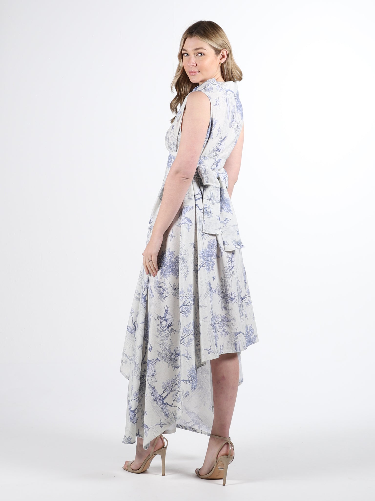 Blue Toile Print Darcy Midi Dress