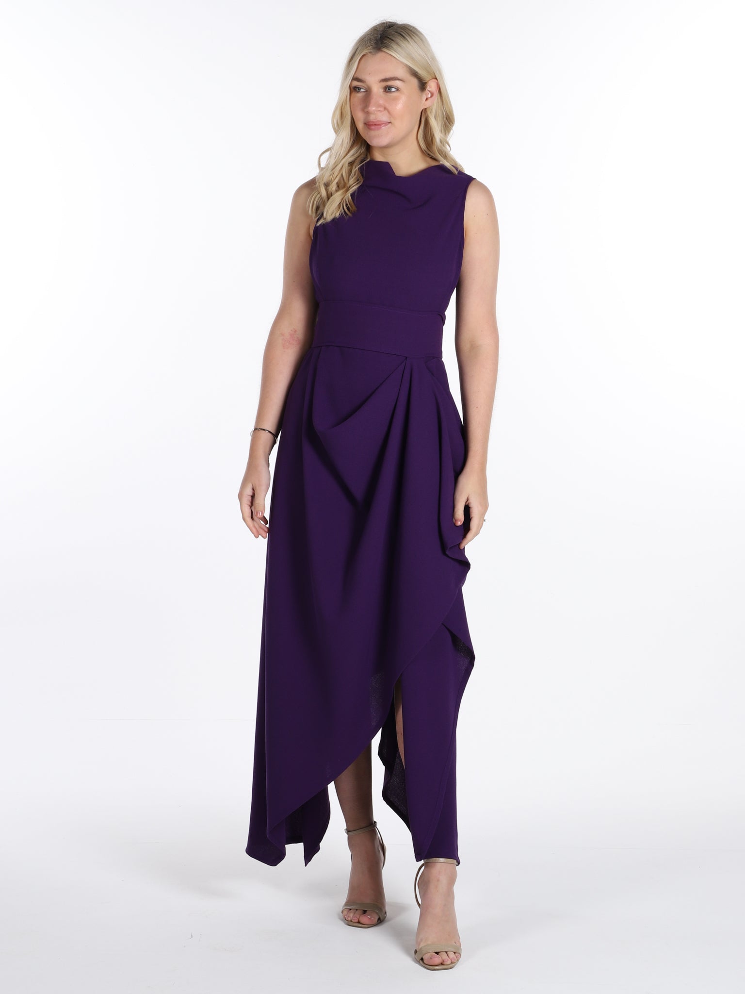 Dark Purple Ivy Dresss