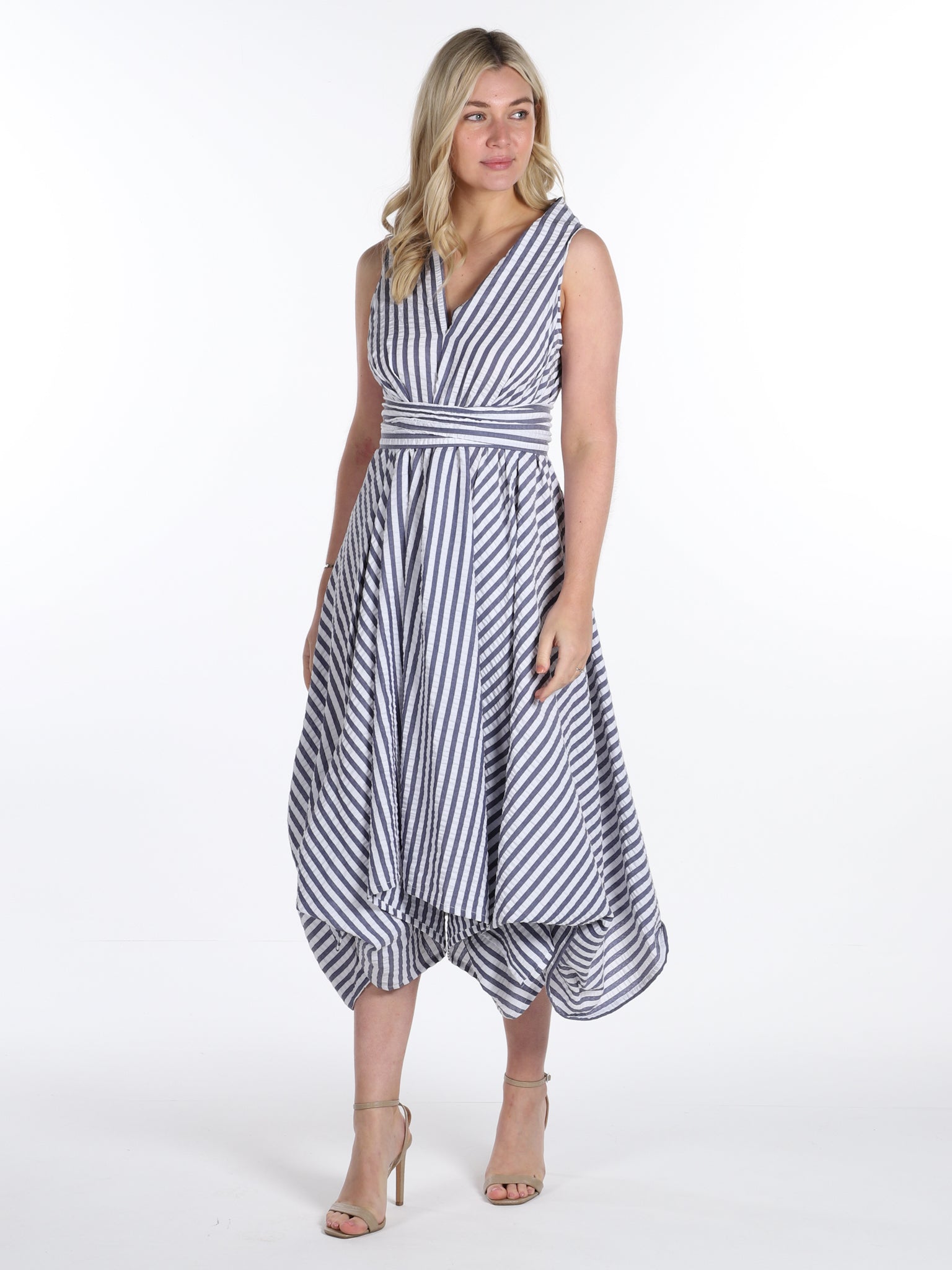 Blue Stripe Darcy Dress