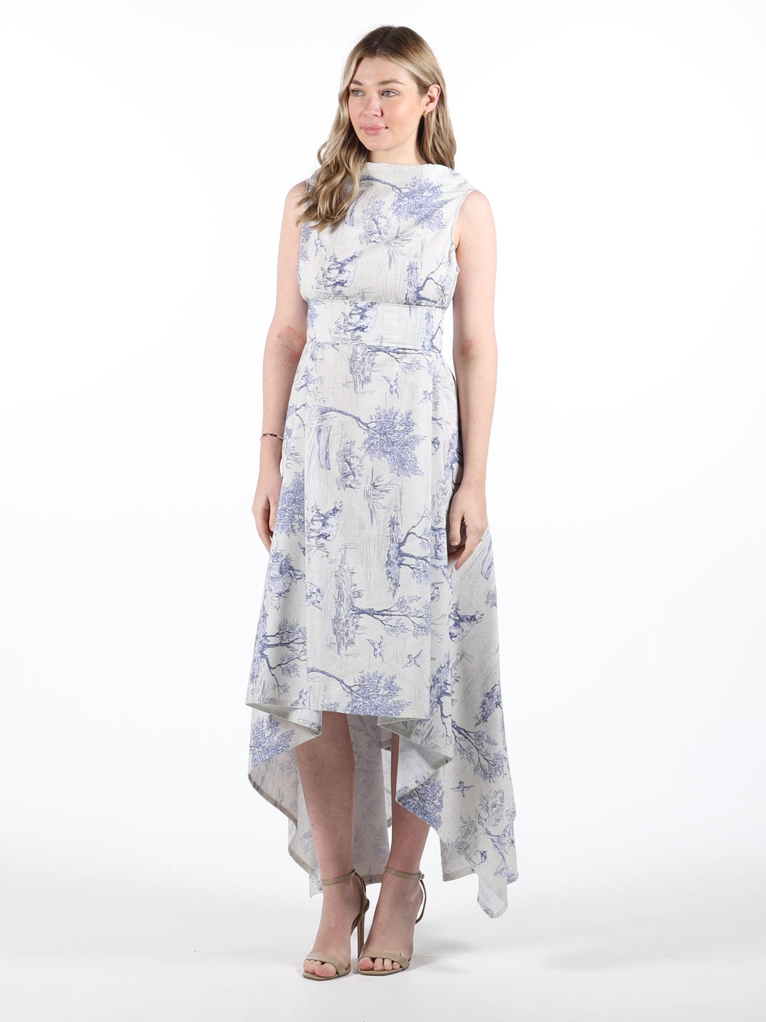 Blue Toile Print Darcy Dress (worn back to front)