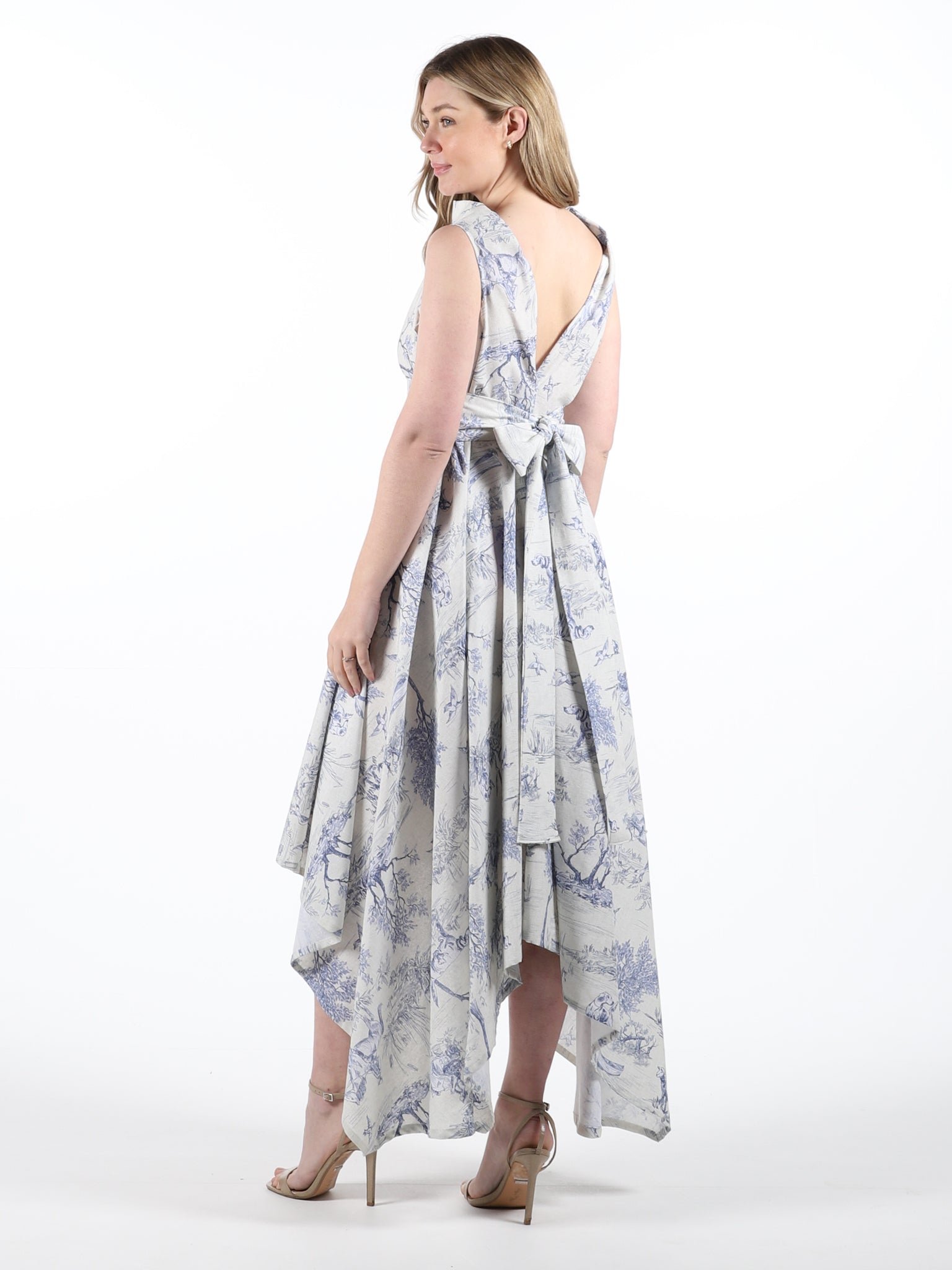 Blue Toile Print Darcy Dress (worn back to front)