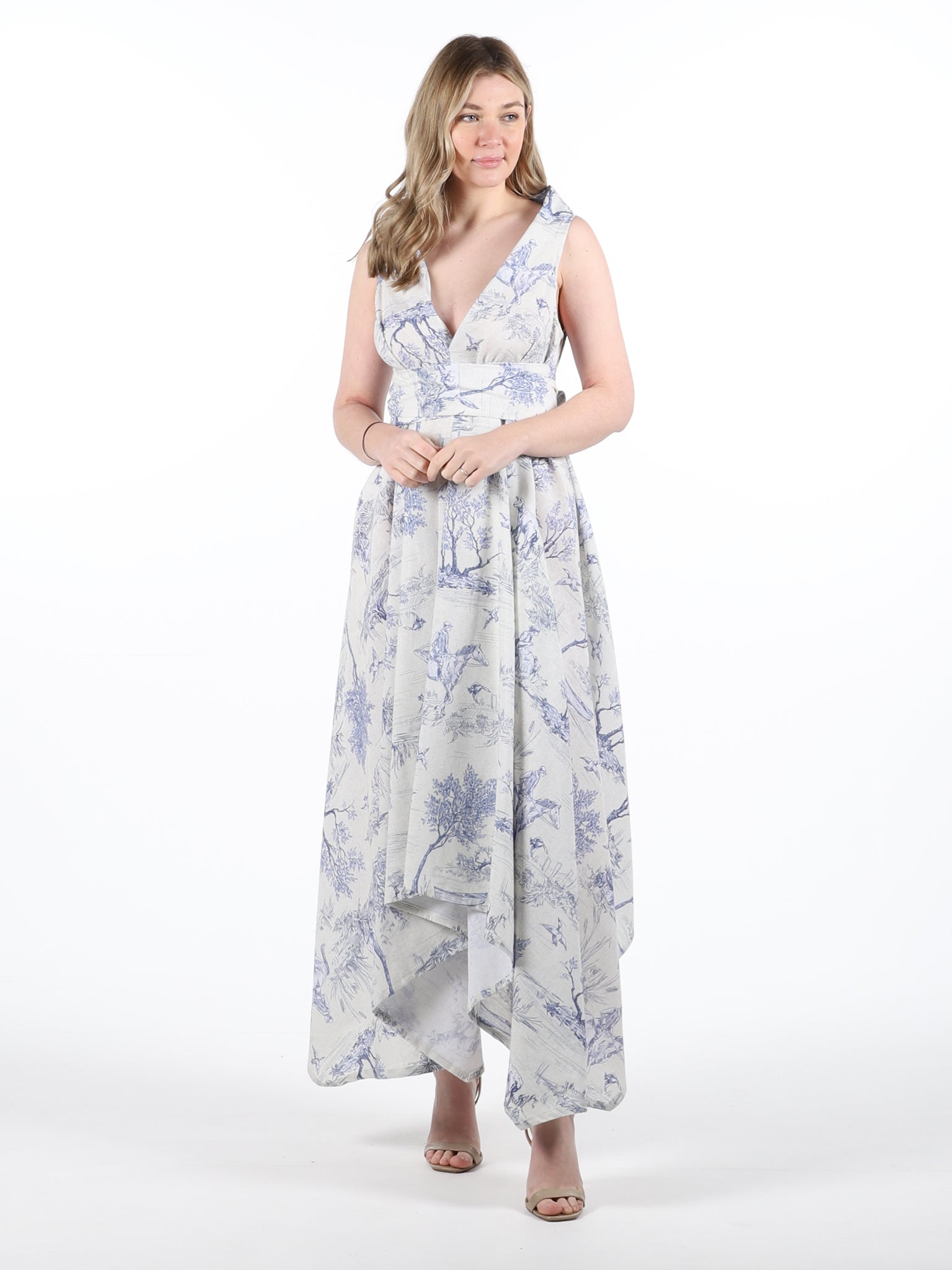 Blue Toile Print Darcy Midi Dress