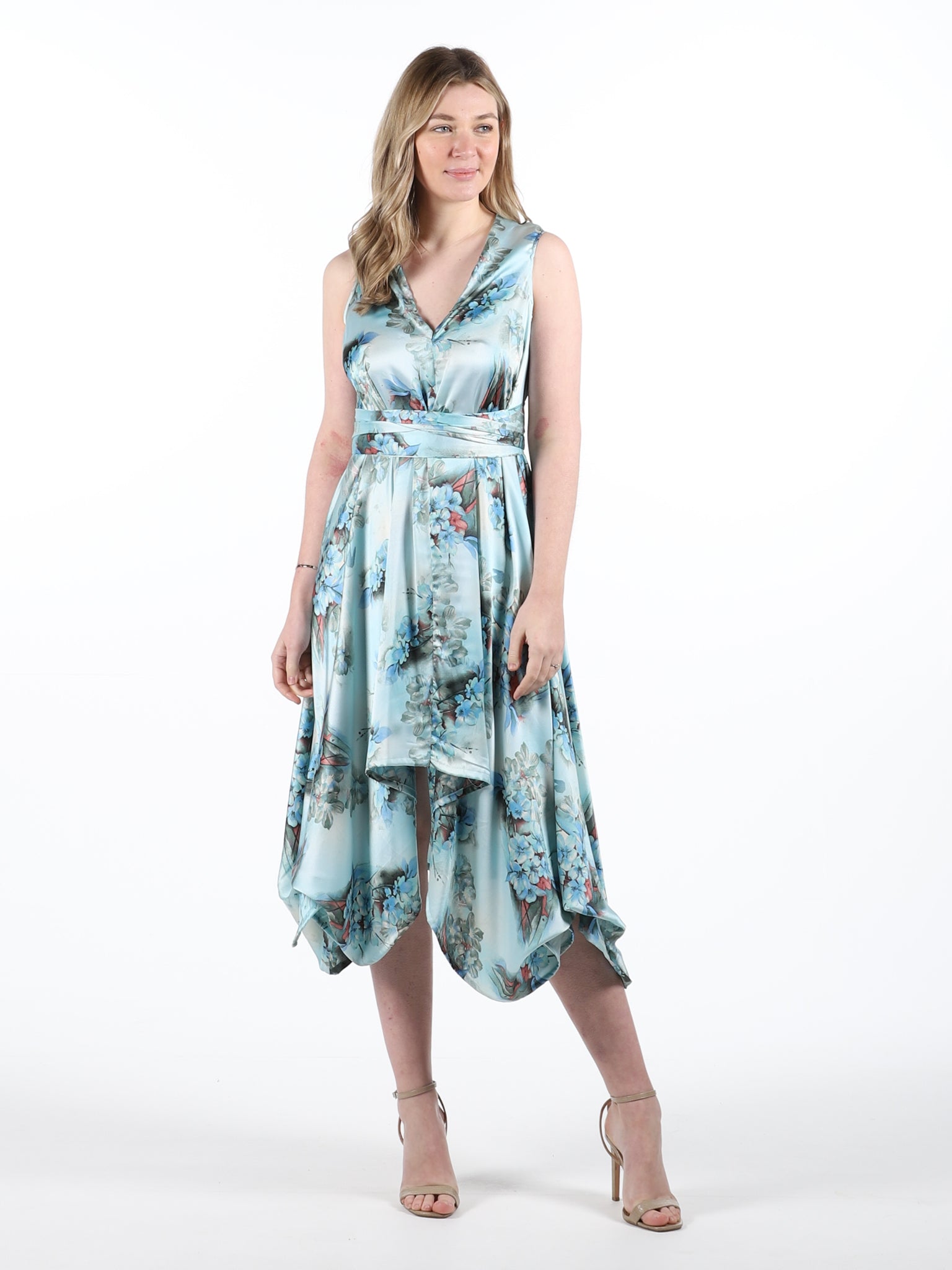 Blue Olivia Floral Darcy Dress