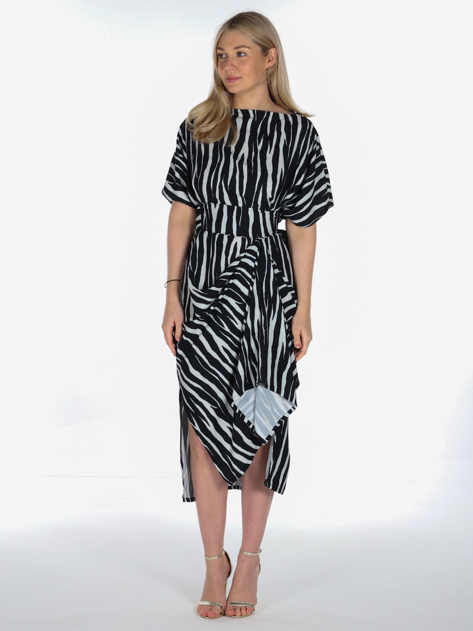 Zebra Print Riva Dress