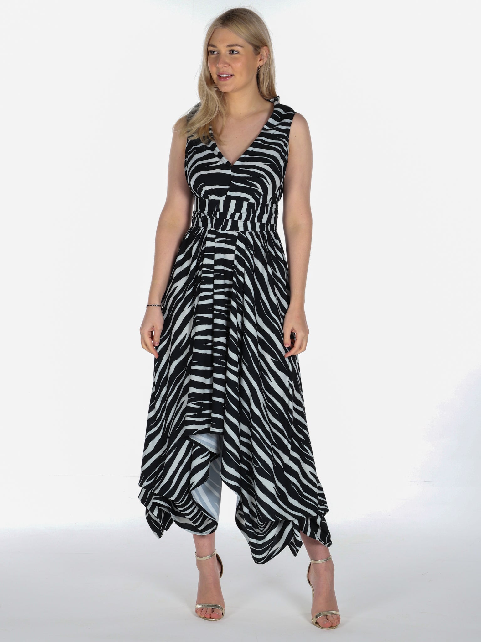 Zebra Print Darcy Dress