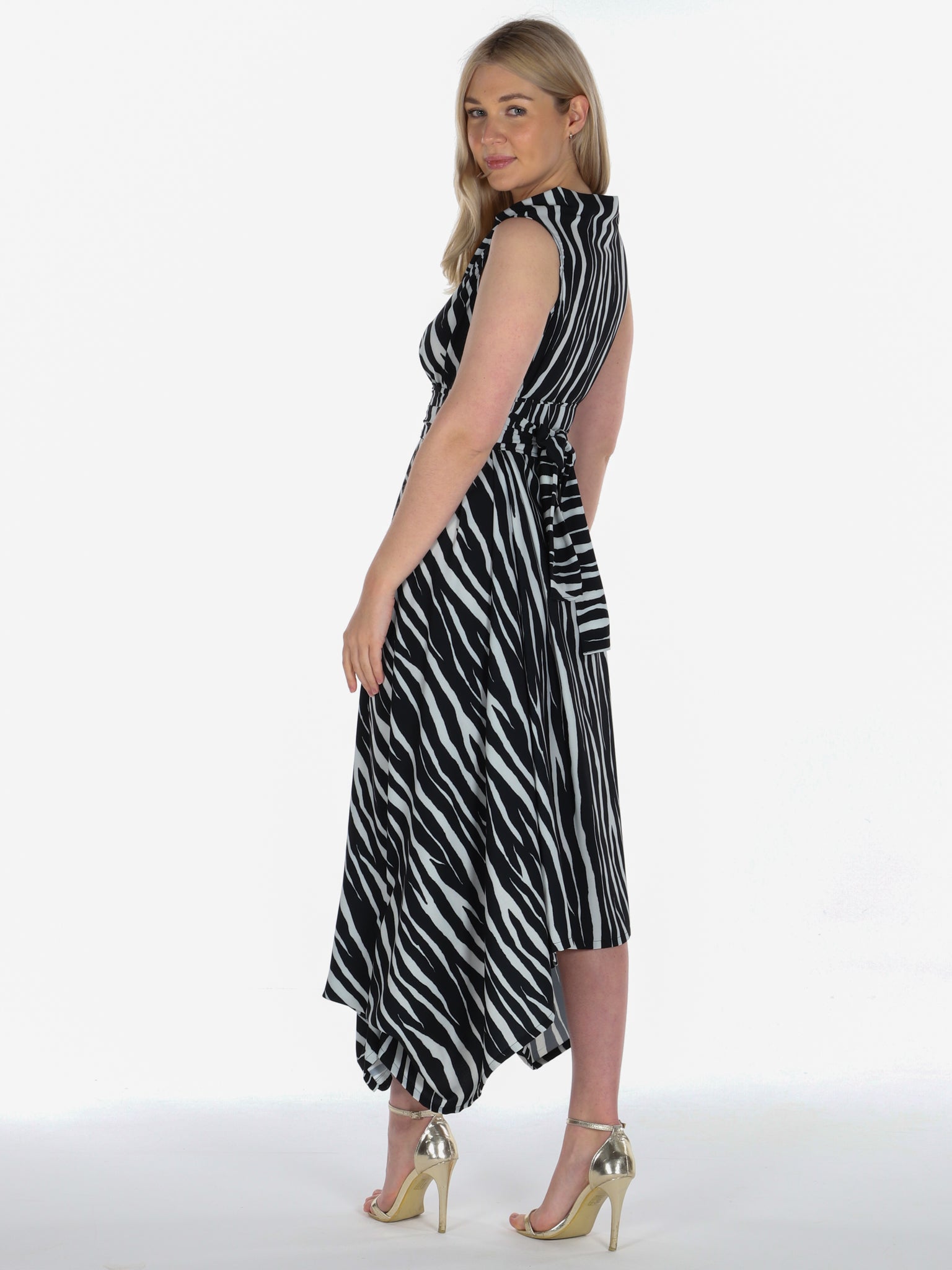 Zebra Print Darcy Dress